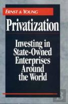 Privatization