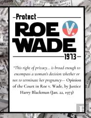 Pro Choice Defend Roe V Wade 1973 Reproductive Rights Notebook Journal Diary