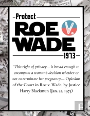 Pro Choice Defend Roe V Wade 1973 Reproductive Rights Notebook Journal Diary