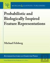 Probabilistic And Biologically Inspired Feature Representations