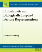 Probabilistic And Biologically Inspired Feature Representations