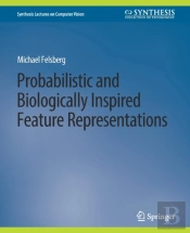 Probabilistic And Biologically Inspired Feature Representations