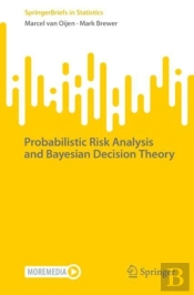 Probabilistic Risk Analysis And Bayesian Decision Theory
