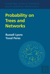 Probability On Trees And Networks