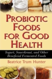 Probiotic Foods For Good Health