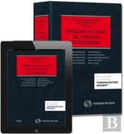Problemas Actuales Del Concurso De Acreedores (Papel + E-Book)