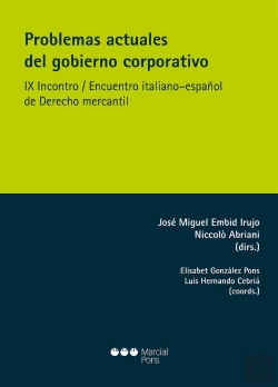 Bertrand.pt - Problemas Actuales Del Gobierno Corporativo. Ix Incontro;Encuentr