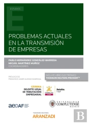 Problemas Actuales En La Transmisión De Empresas (Papel + E-Book)