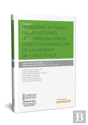 Problemas Actuales En Las Acciones De Compensación De Daños Por Infracción De Las Normas De Competen