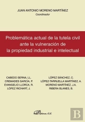 Problemática Actual De La Tutela Civil Ante La Vulneración De La Propiedad Industrial E Intelectual