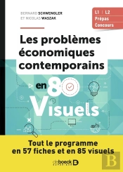 Problèmes Économiques Contemporains En 80 Visuels : Tout Le Programme En 57 Fiches Et En 85 Visuels