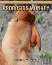 Proboscis Monkey