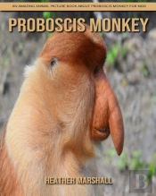 Proboscis Monkey