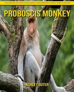 Bertrand.pt - Proboscis Monkey