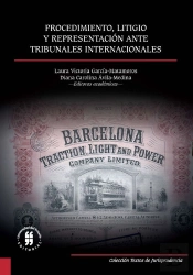 Procedimiento, Litigio Y Representación Ante Tribunales Internacionales