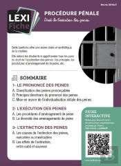 Procédure Pénale (2e Édition)