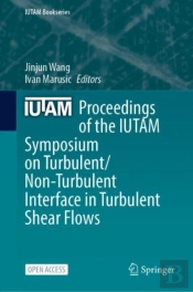 Proceedings Of The Iutam Symposium On Turbulent/Non-Turbulent Interface In Turbulent Shear Flows