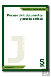 Proceso Civil: Documentos Y Pruebapericial 