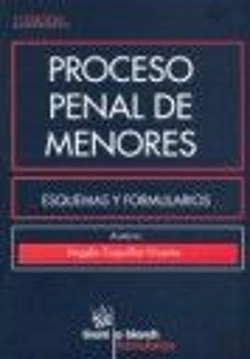 Bertrand.pt - Proceso Penal De Menores Esquemas Y Formularios