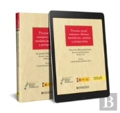 Proceso Penal Europeo Ultimas Tendencias Analisis Y Perspect
