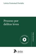Proceso Por Delitos Leves