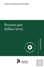 Proceso Por Delitos Leves