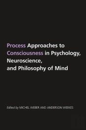 Process Approaches To Consciousness In Psychology, Neuroscience, And Philosophy Of Mind