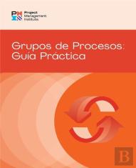 Process Groups: A Practice Guide (Spanish)