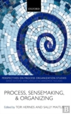 Bertrand.pt - Process, Sensemaking, And Organizing