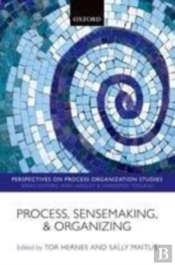 Bertrand.pt - Process, Sensemaking, And Organizing