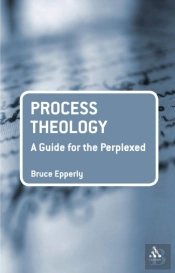 Process Theology: A Guide For The Perplexed
