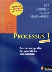 Processus 1 Bts 1 Cgo - Gestion Comptable Des Operations Commerciales Les Processus Eleve 2008