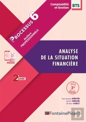 Processus 6 : Analyse De La Situation Financière ; Bts Comptabilité Et Gestion, 2e Année