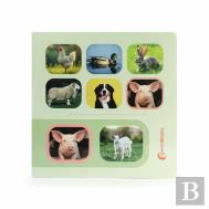 Procure e Encontre - Animais de Quinta