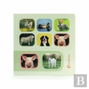 Procure e Encontre - Animais de Quinta