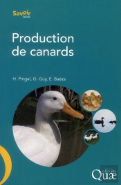 Production De Canards