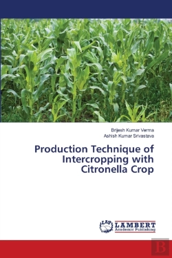 Bertrand.pt - Production Technique Of Intercropping With Citronella Crop