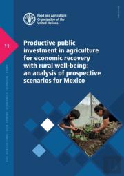 Productive Public Investment In Agriculture For Economic Recovery With Rural Well-Being