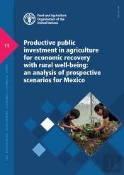 Productive Public Investment In Agriculture For Economic Recovery With Rural Well-Being