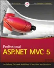 Professional Asp.Net Mvc 5