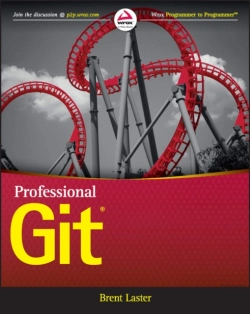 Bertrand.pt - Professional Git