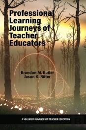 Professional Learning Journeys Of Teacher Educators
