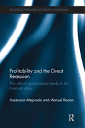 Profitability And The Great Recession