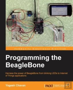 Bertrand.pt - Programming The Beaglebone