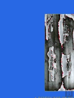 Bertrand.pt - Progress, Apocalypse, And Completion Of History And Life After Death Of The Human Person In The World Religions