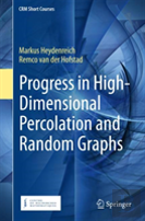 Progress In High-Dimensional Percolation And Random Graphs