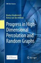 Progress In High-Dimensional Percolation And Random Graphs