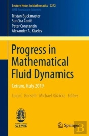 Progress In Mathematical Fluid Dynamics