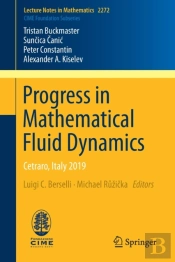 Progress In Mathematical Fluid Dynamics