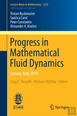 Bertrand.pt - Progress In Mathematical Fluid Dynamics